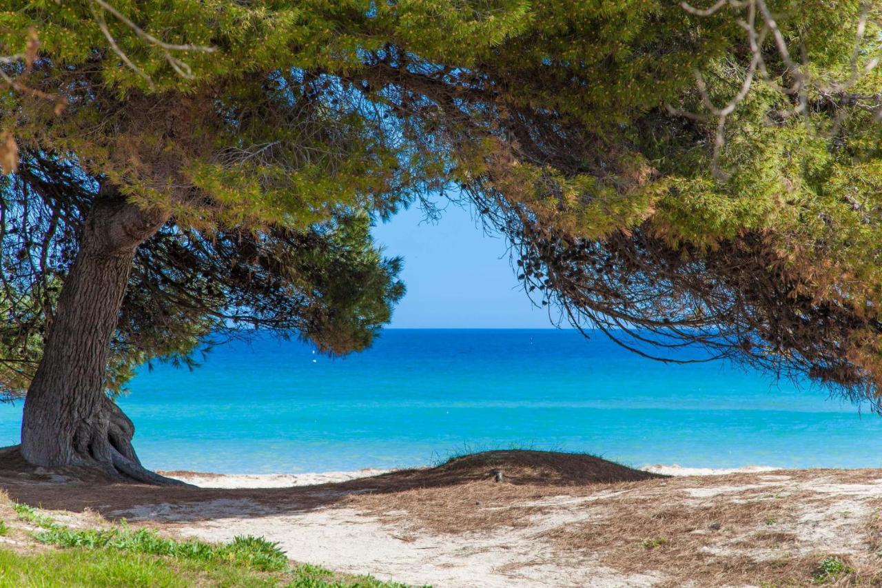 Violeta De Mar Villa Playa de Muro  Ngoại thất bức ảnh